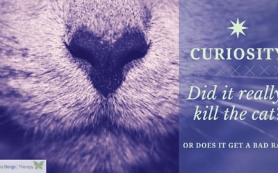 They Say Curiosity Killed the Cat-