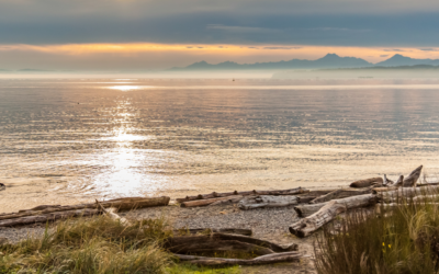 Walking Into Our Stories Is the Bravest Thing We’ll Ever Do