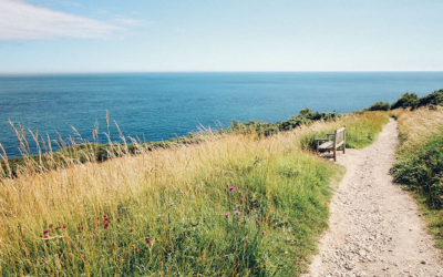 Grateful for the Transformative Journey and Invite You to Join Me