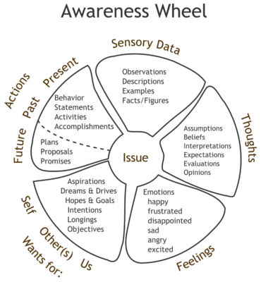 awareness wheel